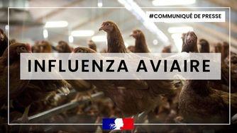 Influenza aviaire : point de situation dans le Loiret